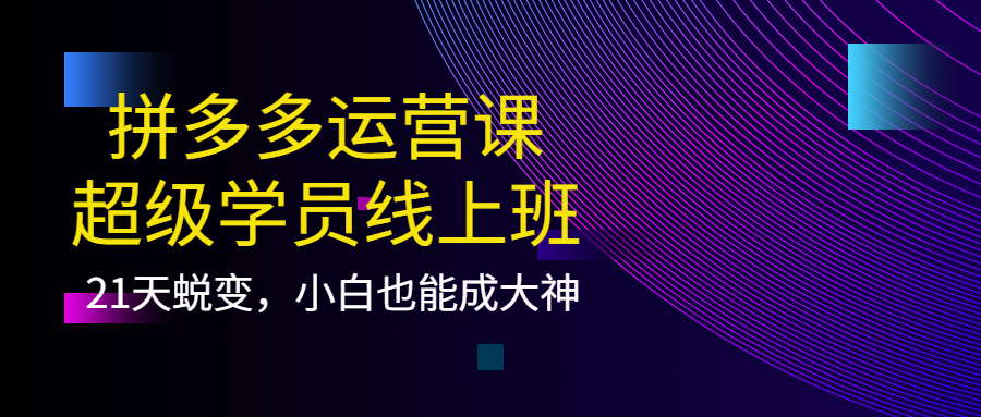 拼多多运营课：超级学员线上班，21天蜕变，小白也能成大神-百盟网