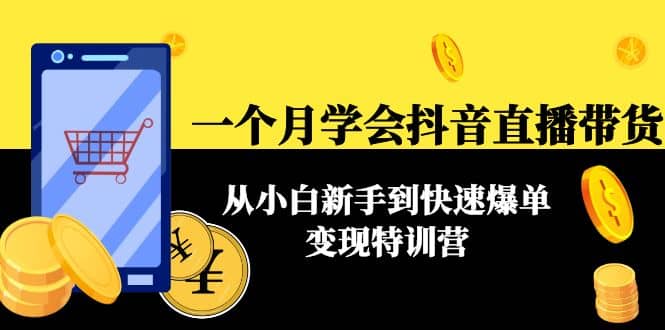 一个月学会抖音直播带货：从小白新手到快速爆单变现特训营(63节课)-百盟网