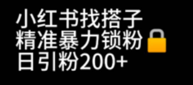 小红书找搭子暴力精准锁粉+引流日引200+精准粉-百盟网