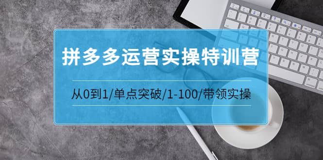 拼多多运营实操特训营：从0到1/单点突破/1-100/带领实操 价值2980元-百盟网