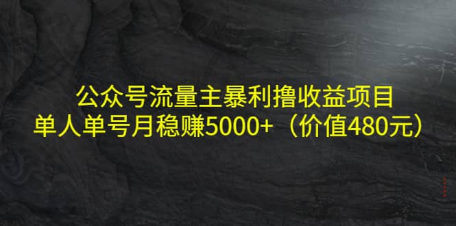 公众号流量主暴利撸收益项目，单人单号月稳赚5000+（价值480元）-百盟网