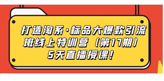 打造淘系·标品大爆款引流班线上特训营5天直播授课！-百盟网