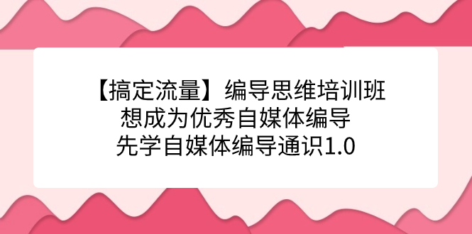 【搞定流量】编导思维培训班，想成为优秀自媒体编导先学自媒体编导通识1.0-百盟网