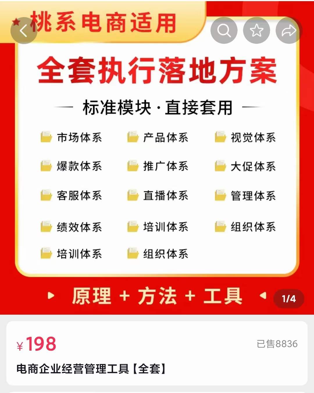 外面卖198·电商企业经营管理工具：全套执行落地方案 标准模块·直接套用-百盟网