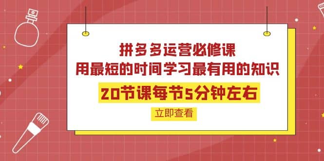 拼多多运营必修课：20节课每节5分钟左右，用最短的时间学习最有用的知识-百盟网