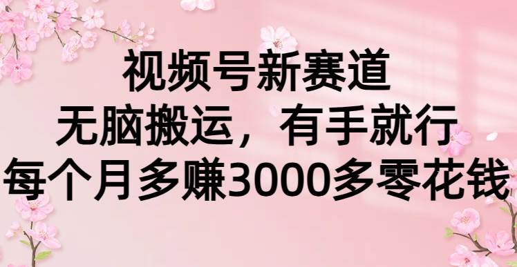 视频号新赛道，无脑搬运，有手就行，每个月多赚3000多零花钱-百盟网