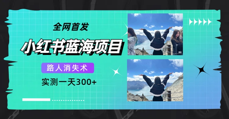 全网首发，小红书蓝海项目，路人消失术，实测一天300+（教程+工具）-百盟网