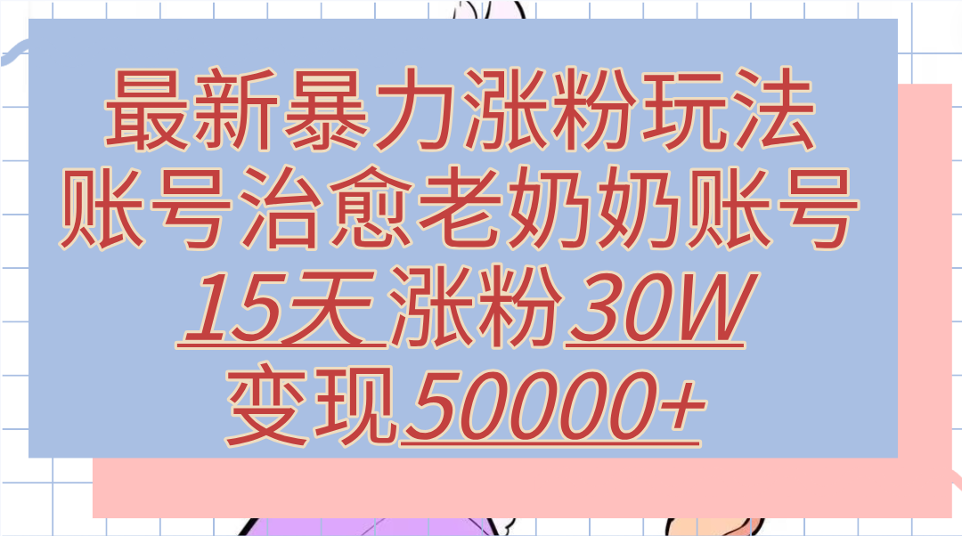 最新暴力涨粉玩法，治愈老奶奶账号，15天涨粉30W，变现50000+【揭秘】-百盟网