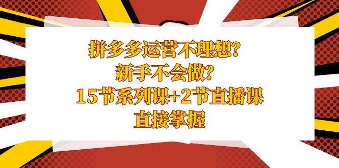 拼多多运营不理想？新手不会做？15节系列课+2节直播课，直接掌握-百盟网