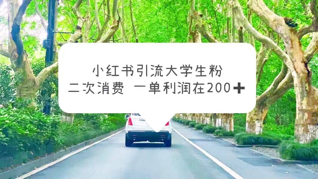 小红书引流大学生粉，变现项目，一单利润在200+（教程+资源）-百盟网