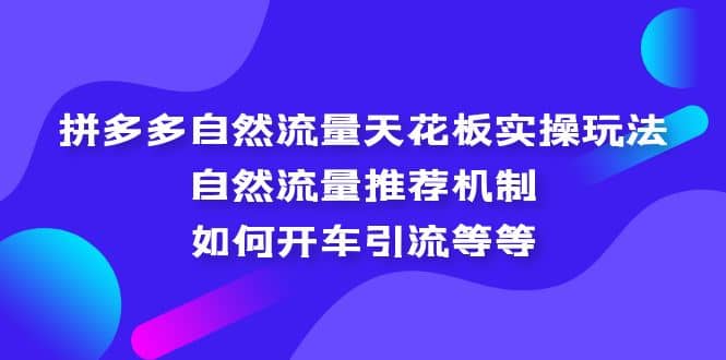 拼多多自然流量天花板实操玩法：自然流量推荐机制，如何开车引流等等-百盟网