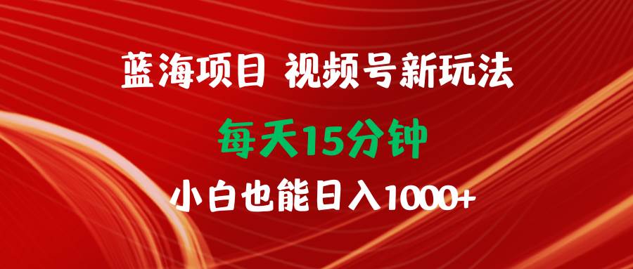 蓝海项目视频号新玩法 每天15分钟 小白也能日入1000+-百盟网