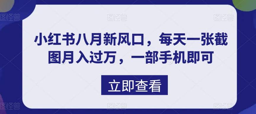 八月新风口，小红书虚拟项目一天收入1000+，实战揭秘-百盟网