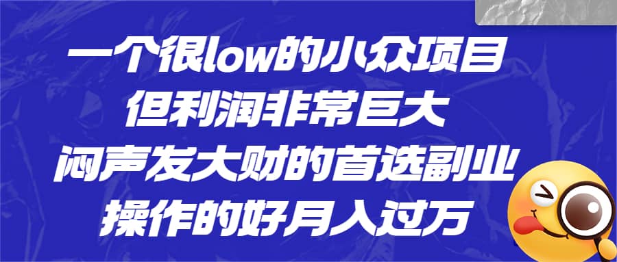 一个很low的小众项目，但利润非常巨大，闷声发大财的首选副业，月入过万-百盟网