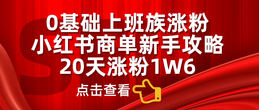 0基础上班族涨粉，小红书商单新手攻略，20天涨粉1.6w-百盟网