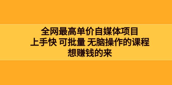 全网最单高价自媒体项目：上手快 可批量 无脑操作的课程，想赚钱的来-百盟网