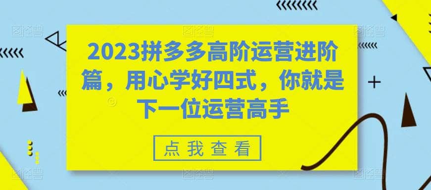 2023拼多多高阶运营进阶篇，用心学好四式，你就是下一位运营高手-百盟网