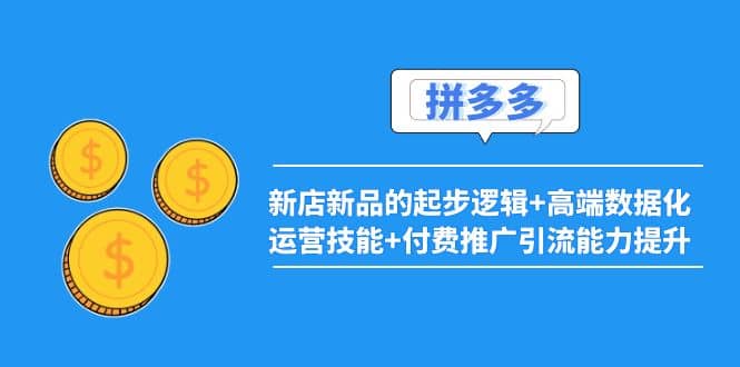 2022拼多多：新店新品的起步逻辑+高端数据化运营技能+付费推广引流能力提升-百盟网