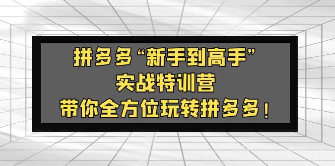 拼多多“新手到高手”实战特训营：带你全方位玩转拼多多-百盟网