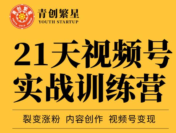 张萌21天视频号实战训练营，裂变涨粉、内容创作、视频号变现 价值298元-百盟网