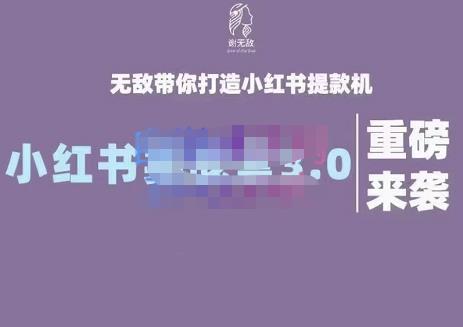 谢无敌·小红书实战营3.0，无敌带你打造小红书提款机 价值7999元-百盟网