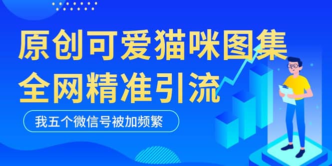 黑科技纯原创可爱猫咪图片，全网精准引流，实操5个VX号被加频繁-百盟网