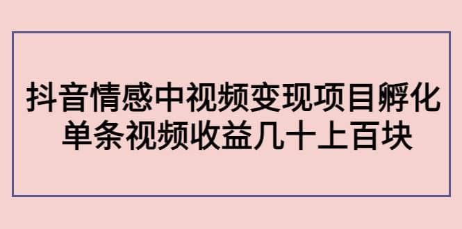 抖音情感中视频变现项目孵化-百盟网