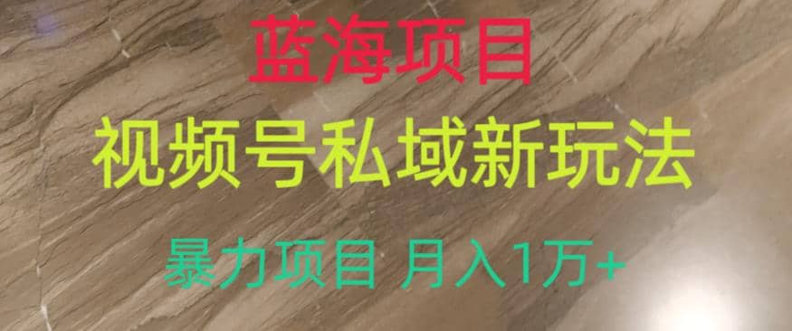 蓝海项目，视频号私域新玩法，暴力项目月入1万+【揭秘】-百盟网