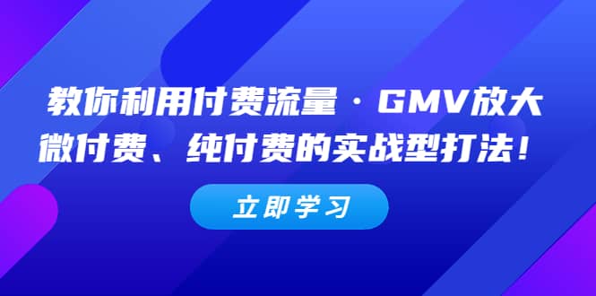 教你利用付费流量·GMV放大，微付费、纯付费的实战型打法-百盟网