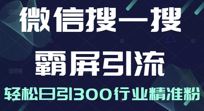 微信搜一搜霸屏引流课，打造被动精准引流系统，轻松日引300行业精准粉【无水印】-百盟网