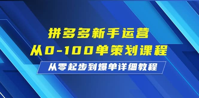 拼多多新手运营从0-100单策划课程，从零起步到爆单详细教程-百盟网