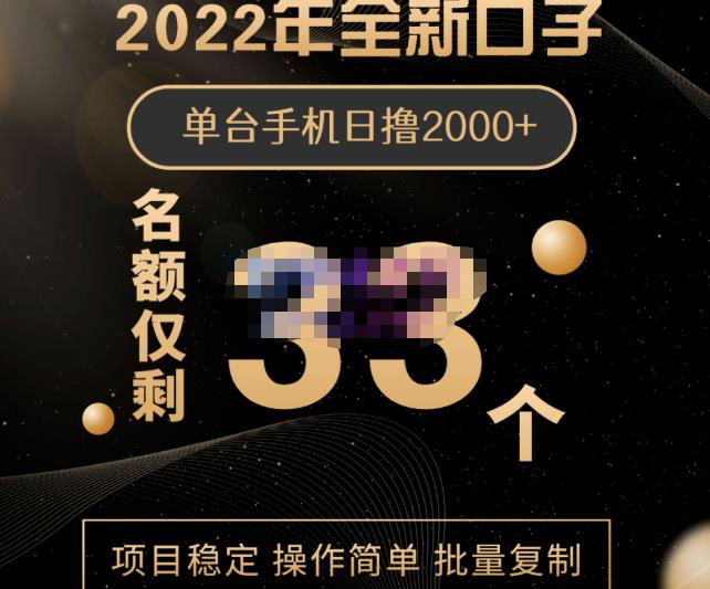 2022年全新口子，手机批量搬砖玩法，一部手机日撸2000+-百盟网