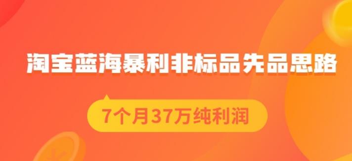 盗坤淘宝蓝海暴利非标品先品思路，7个月37万纯利润，压箱干货分享！【付费文章】-百盟网