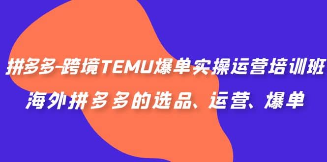 拼多多-跨境TEMU爆单实操运营培训班，海外拼多多的选品、运营、爆单-百盟网