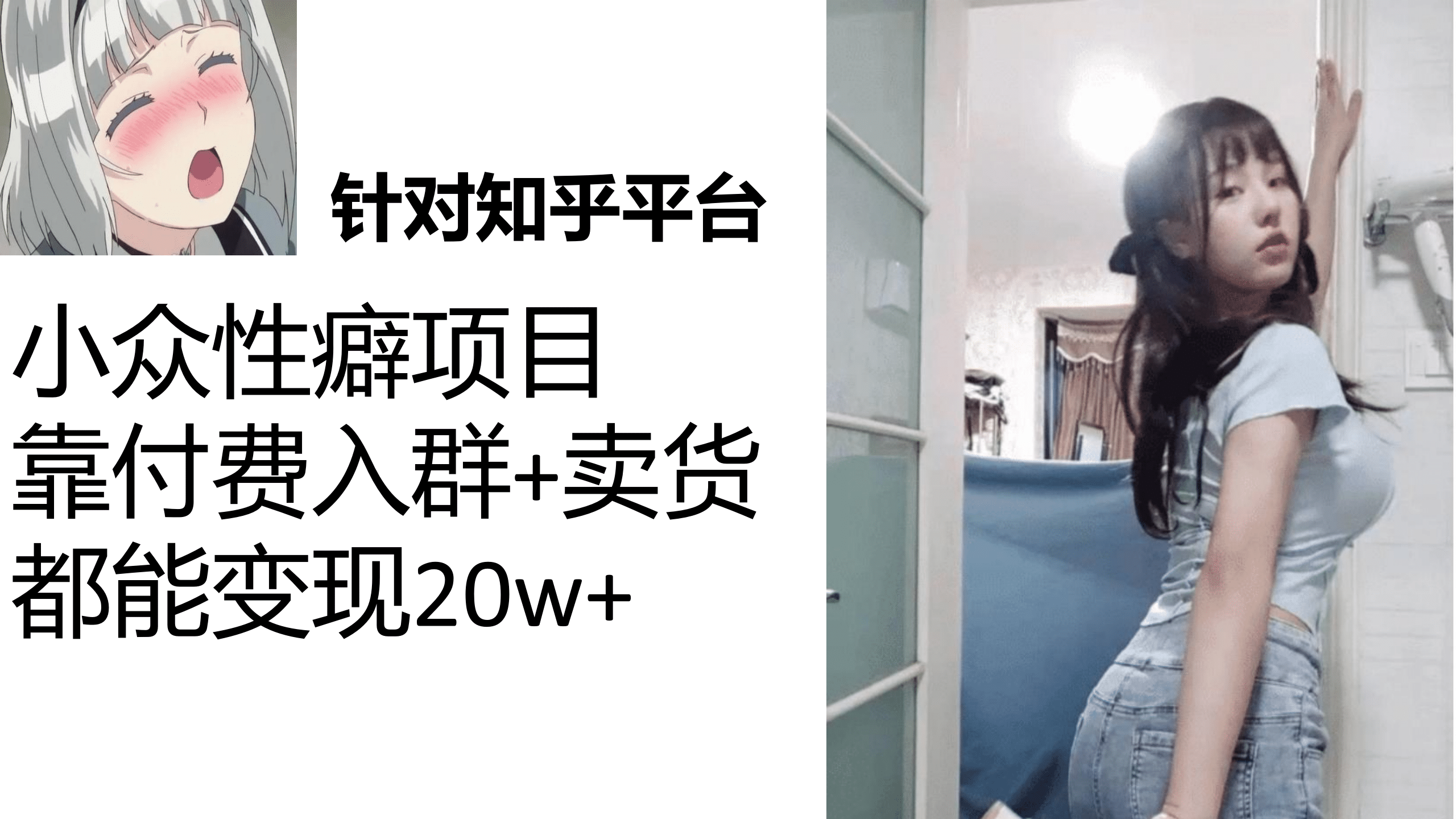 知乎小众性癖项目，Lsp的钱才是最好赚的，付费建群+卖货变现20w-百盟网