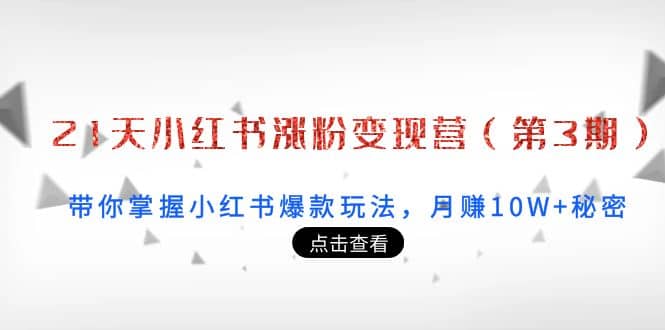 21天小红书涨粉变现营（第3期）：带你掌握小红书爆款玩法，月赚10W+秘密-百盟网