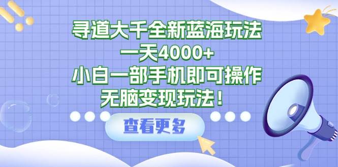 寻道大千全新蓝海玩法，一天4000+，小白一部手机即可操作，无脑变现玩法！-百盟网