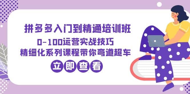 2023拼多多入门到精通培训班：0-100运营实战技巧 精细化系列课带你弯道超车-百盟网