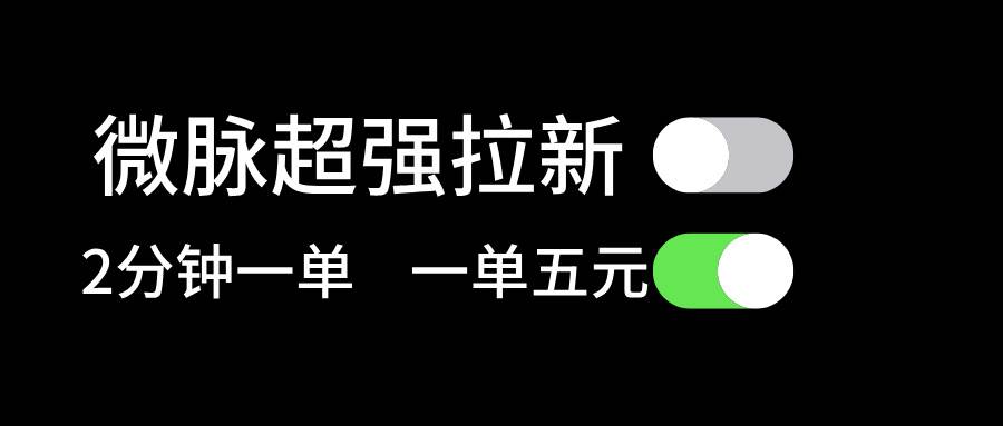 微脉超强拉新， 两分钟1单， 一单利润5块，适合小白-百盟网