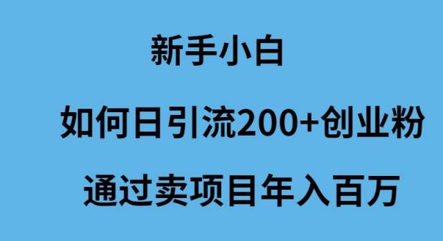 新手小白如何日引流200+创业粉通过卖项目年入百万-百盟网