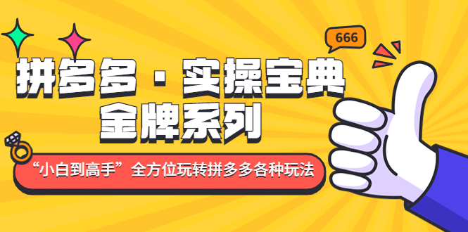 拼多多·实操宝典：金牌系列“小白到高手”带你全方位玩转拼多多各种玩法-百盟网