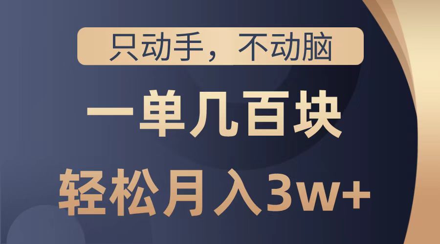 只动手不动脑，一单几百块，轻松月入2w+，看完就能直接操作，详细教程-百盟网