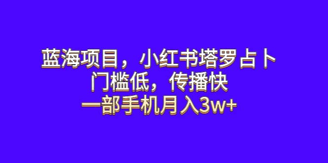 蓝海项目，小红书塔罗占卜，门槛低，传播快，一部手机月入3w+-百盟网