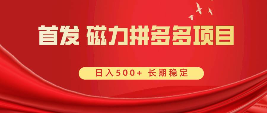 首发 磁力拼多多自撸  日入500+-百盟网