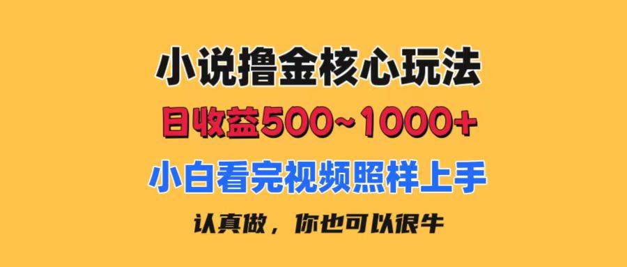 小说撸金核心玩法，日收益500-1000+，小白看完照样上手，0成本有手就行-百盟网