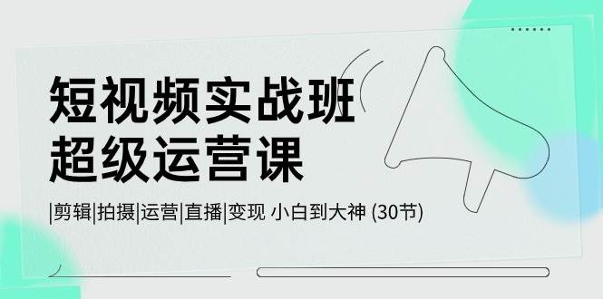 短视频实战班-超级运营课，|剪辑|拍摄|运营|直播|变现 小白到大神 (30节)-百盟网