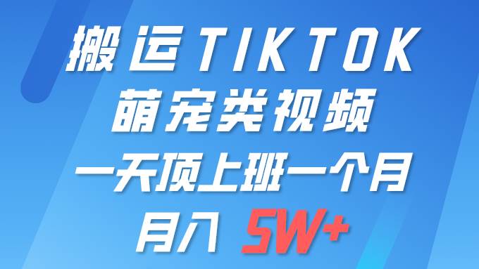 一键搬运TIKTOK萌宠类视频 一部手机即可操作 所有平台均可发布 轻松月入5W+-百盟网