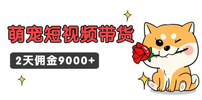 东哲日记·萌宠短视频带货，2天佣金9000+-百盟网