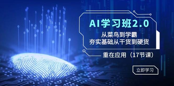 AI学习班2.0：从菜鸟到学霸，夯实基础从干货到硬货，重在应用（17节课）-百盟网