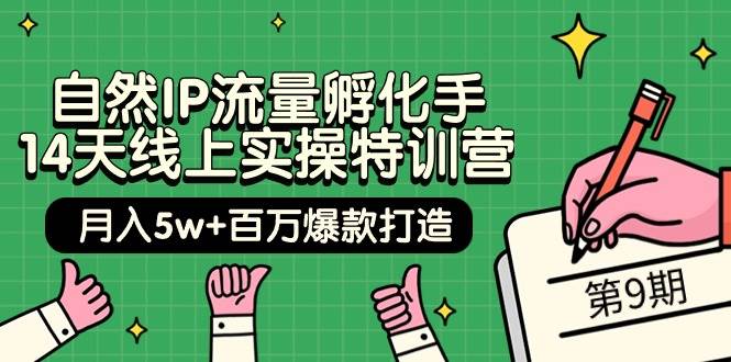 自然IP流量孵化手 14天线上实操特训营【第9期】月入5w+百万爆款打造 (74节)-百盟网